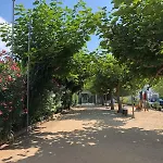 호텔 마리나 토사