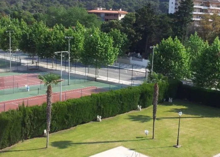 Marina Tossa *
